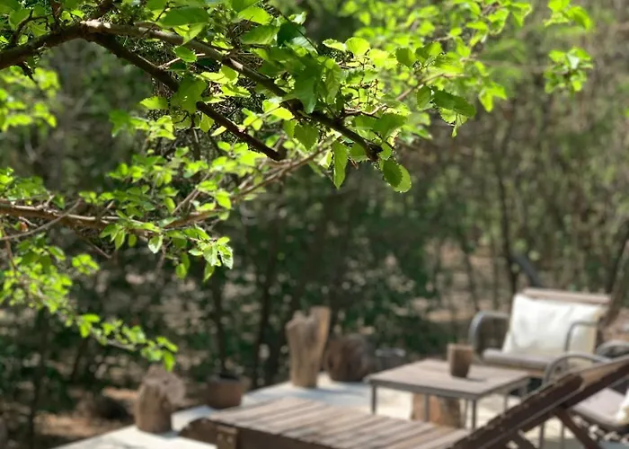 Cabana Del Bosque