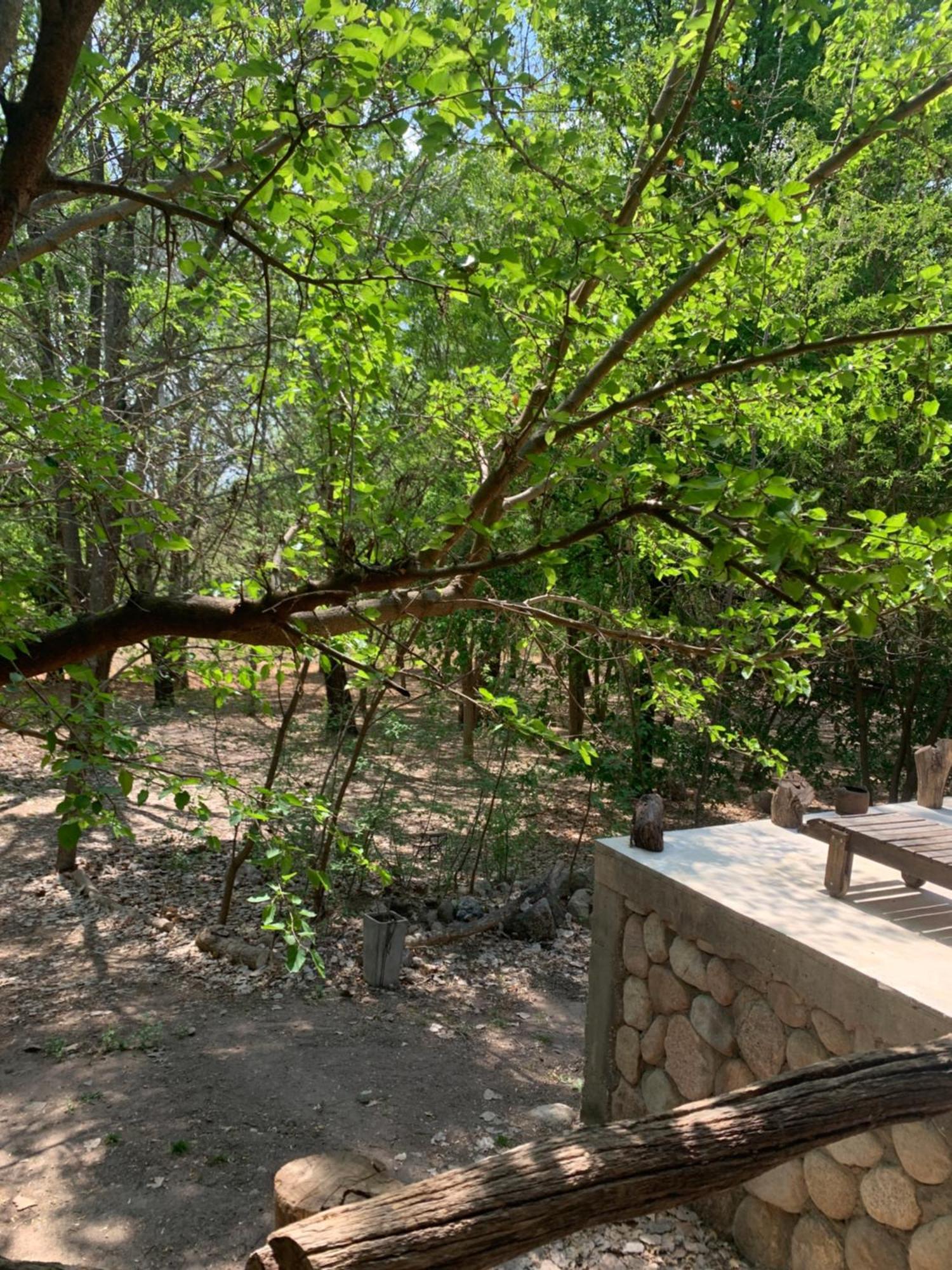 Chalet Del Bosque