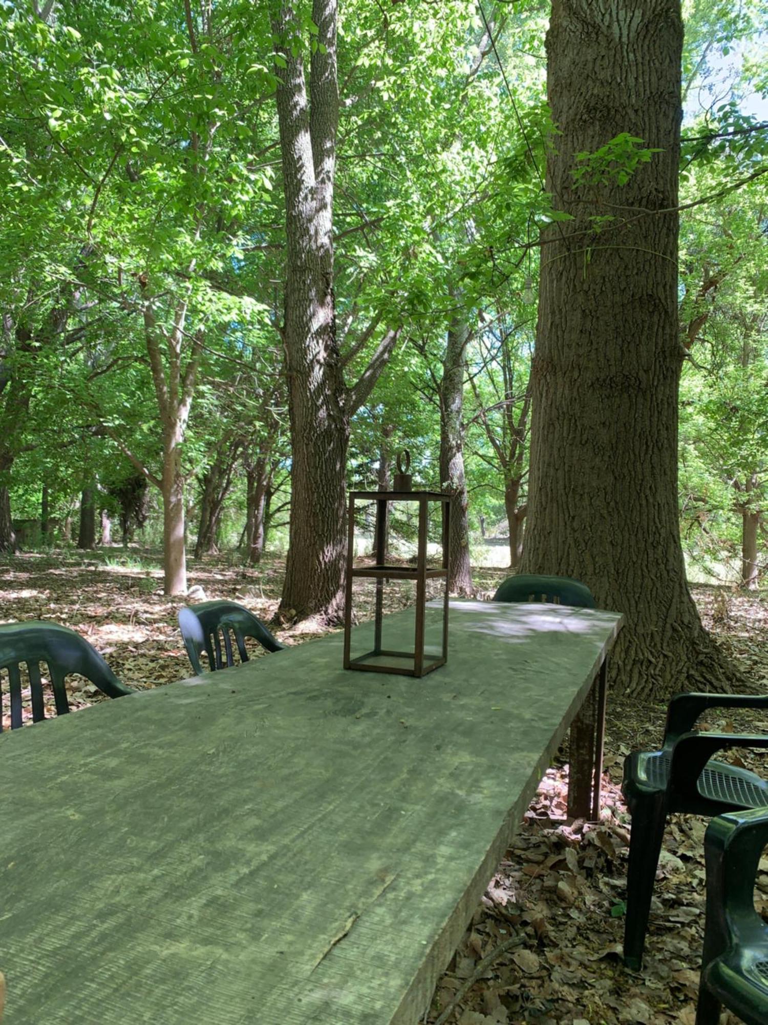 Chalet Del Bosque Las Calles
